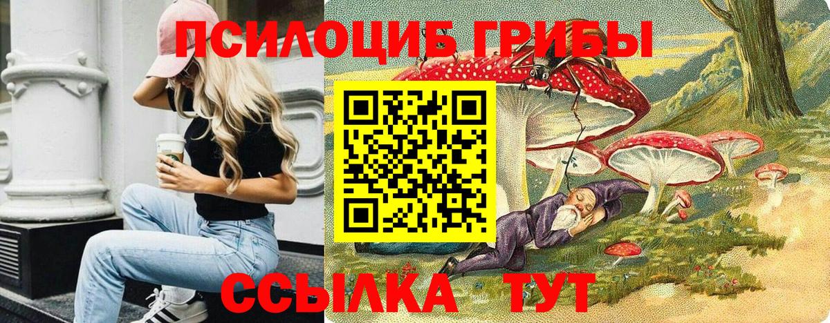 Галлюциногенные грибы мицелий  Галлюциногенные грибы мухоморы  Вход с VPN  цена   Псков 