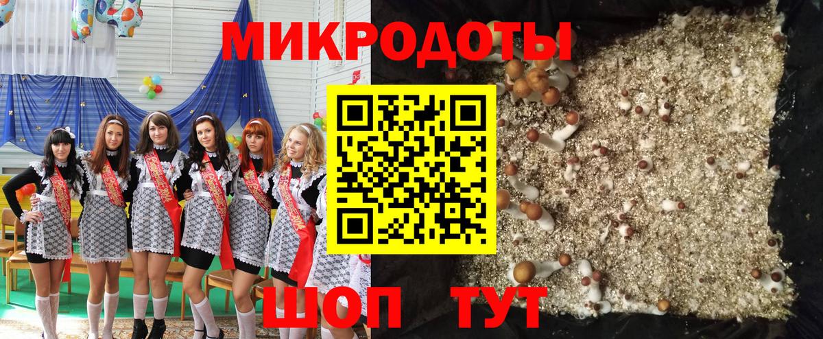 Галлюциногенные грибы Psilocybe Псков